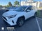 2025 Toyota RAV4 XLE W/ SUNROOF!