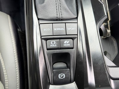 2025 Toyota Camry SE Great Color Combo!