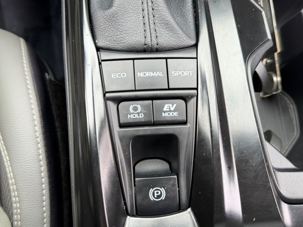 2025 Toyota Camry SE Great Color Combo!