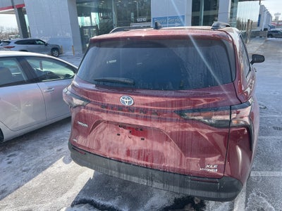 2024 Toyota Sienna XLE 7 Passenger