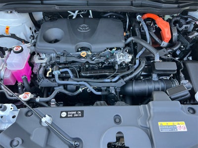 2025 Toyota Sienna XLE 7 Passenger